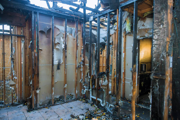 Professional Odor Removal technician working in Memphis, FL